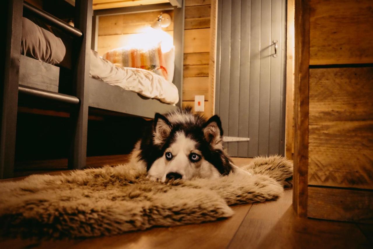 Hotel Llechwedd Glamping Blaenau Ffestiniog Exteriér fotografie