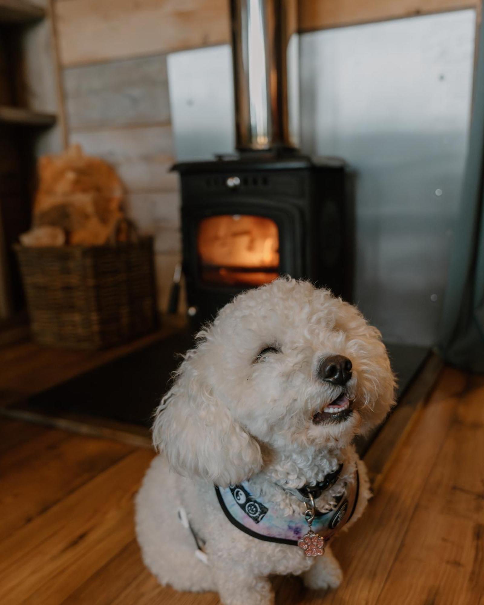 Hotel Llechwedd Glamping Blaenau Ffestiniog Exteriér fotografie